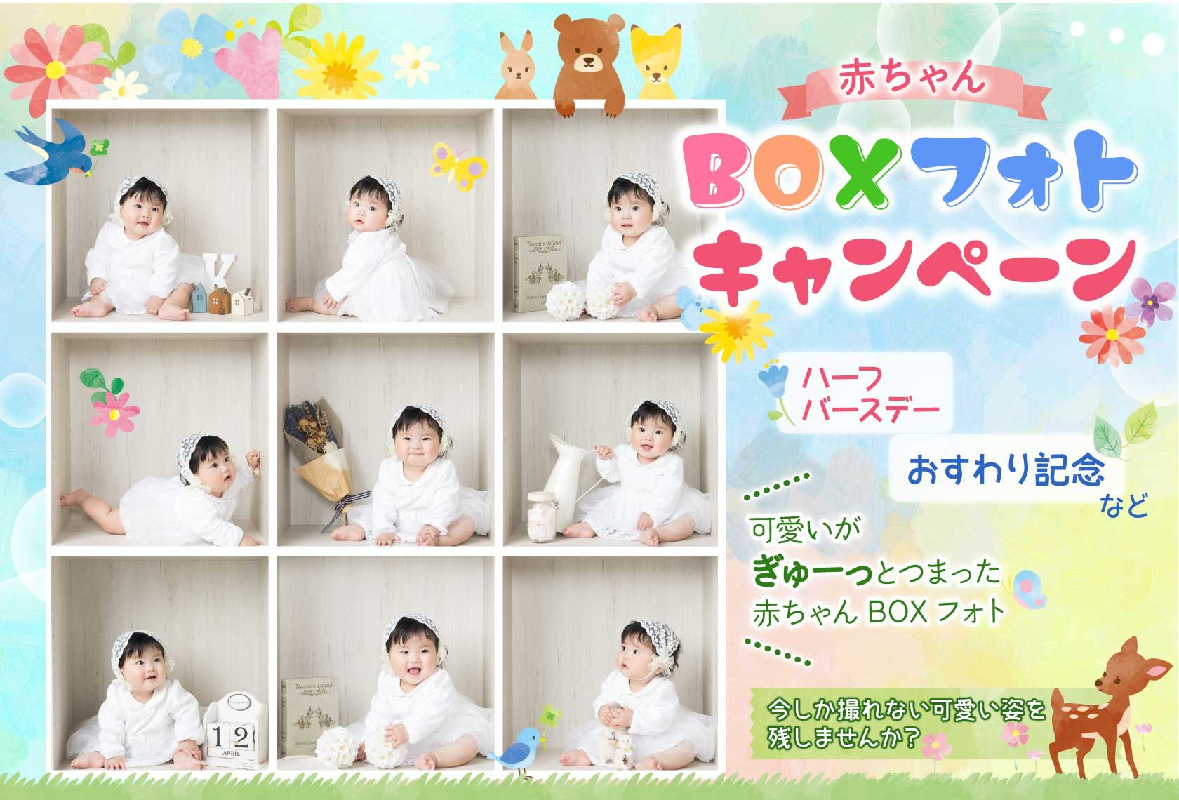 赤ちゃんBOXフォトキャンペーン：ハーフバースデー、おすわり記念など、可愛いがぎゅーっとつまった赤ちゃんBOXフォト！今しか撮れない可愛い姿を残しませんか？