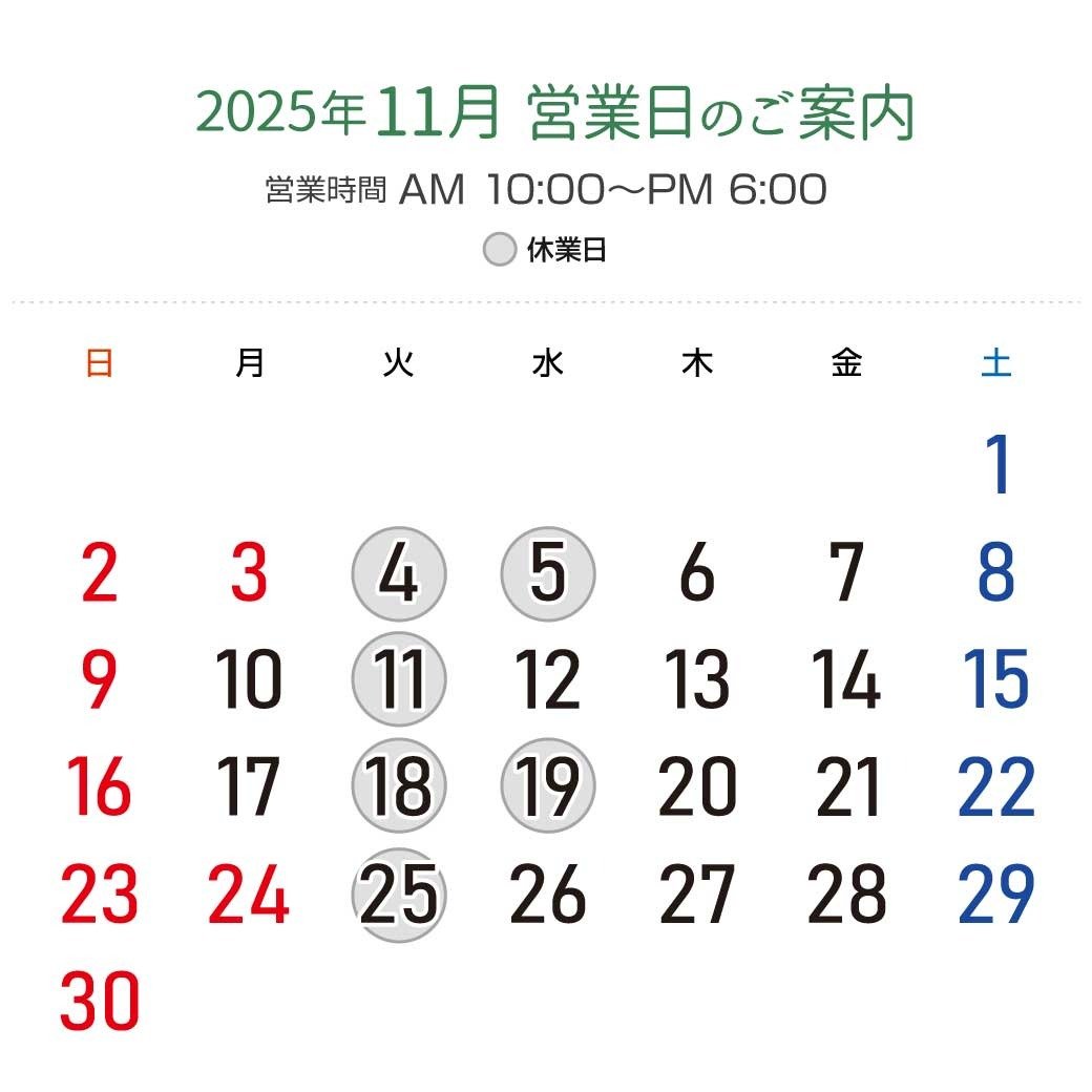 2025年11月営業日カレンダー：休業日11月4日（火）、5日（水）、11日（火）、18日（火）、19日（水）、25日（火）。営業時間：午前10時から午後6時。