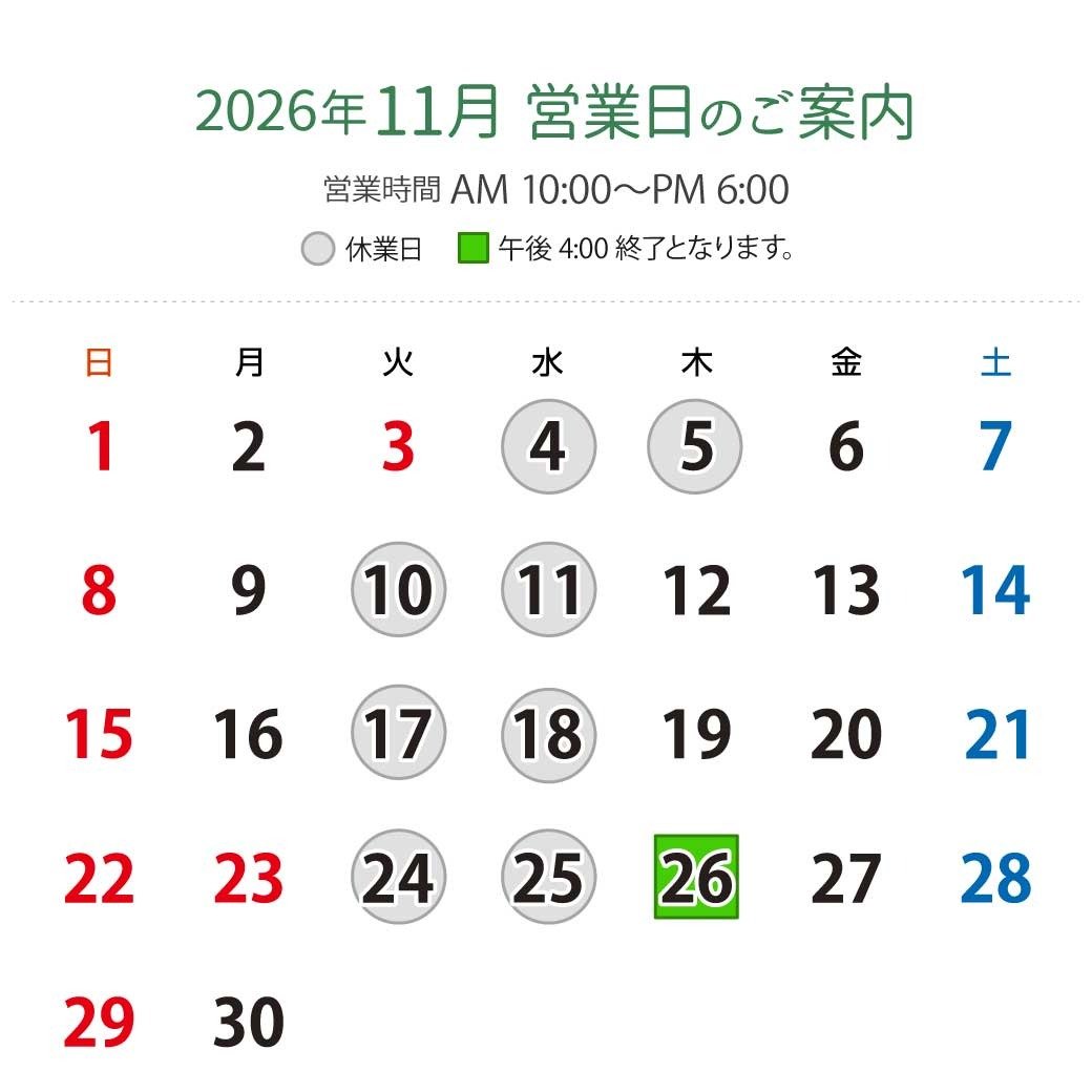 2026年11月営業日カレンダー：休業日11月4日（水）、5日（木）、10日（火）、11日（水）、17日（火）、18日（水）、24日（火）、25日（水）。営業時間：午前10時から午後6時。26日（木）は午後4時終了となります。