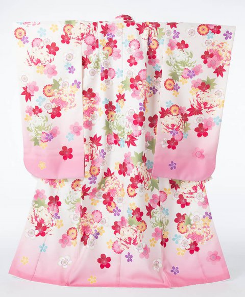 写真：白からピンクのグラデーションに菊や桜などの花が描かれた着物（クリックで拡大）