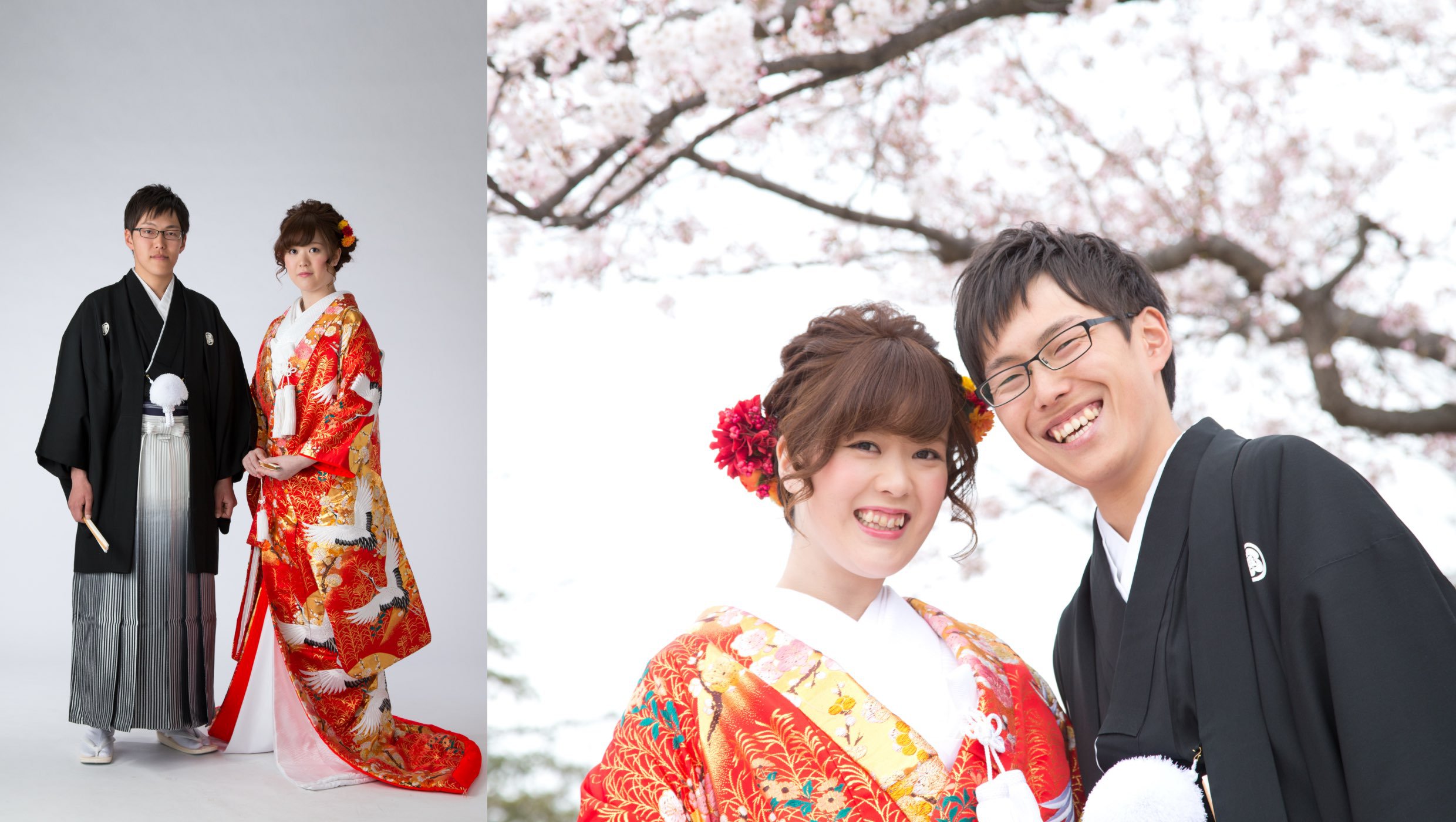 ウェディング・婚礼・結婚記念写真：色打掛を着た新婦と紋服を着た新郎：スタジオ内撮影の写真と桜の木の下でロケーション撮影した写真